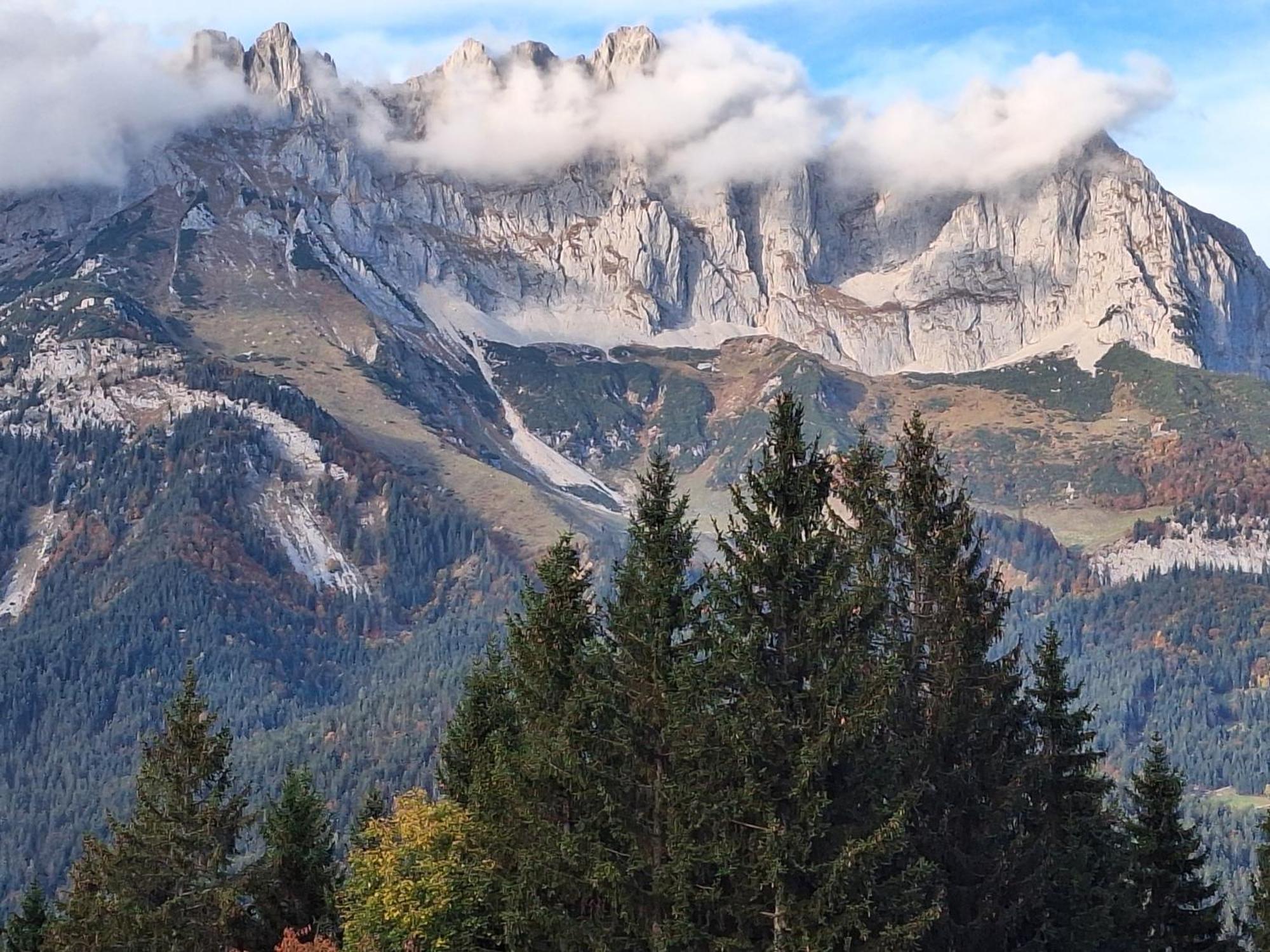 Apartment Unterhollenau Going am Wilden Kaiser ภายนอก รูปภาพ